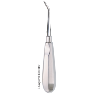 Cogswell B Wurzelheber