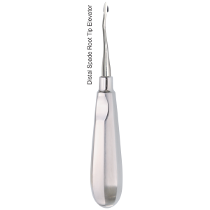 Spatel-Wurzelspitzenheber distal