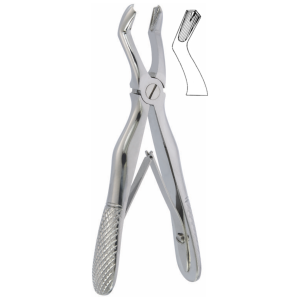Extraktionszange English Pattern, obere Molaren universal, Milchgebiss