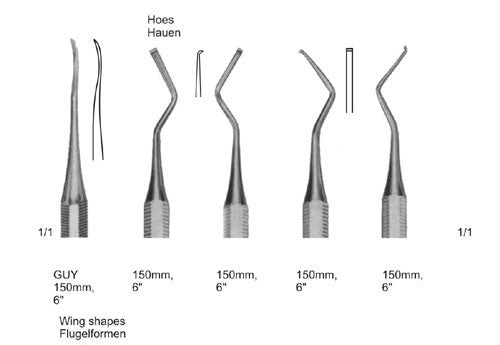 Scaler nach Guy